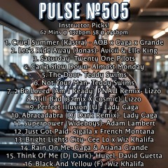 Pulse 505- Instructor..